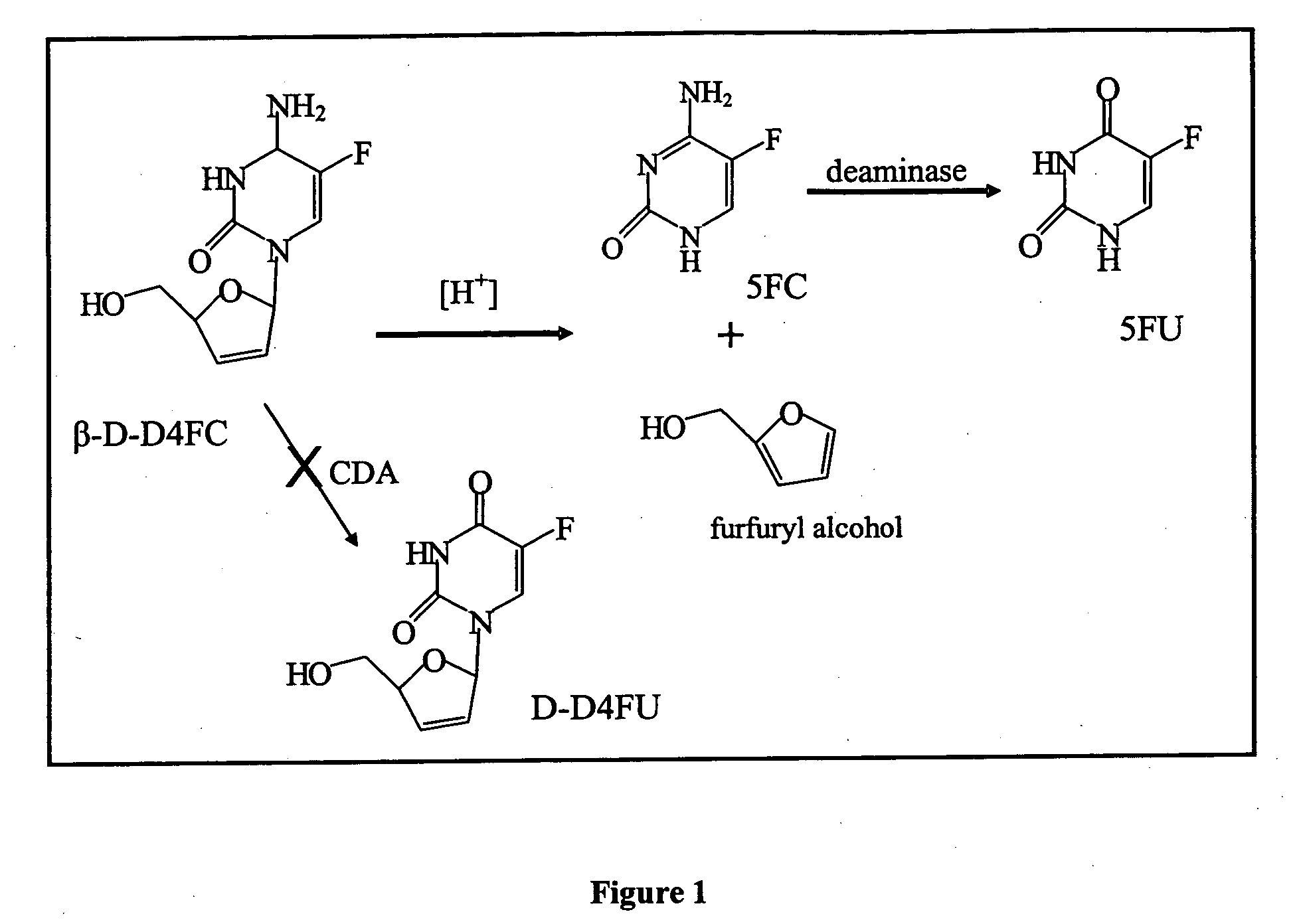 Dosing methods for beta-D-2',3'-dideoxy-2',3'-didehydro-5-fluorocytidine antiviral therapy