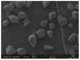 Sandy deposited particle distinguishing method