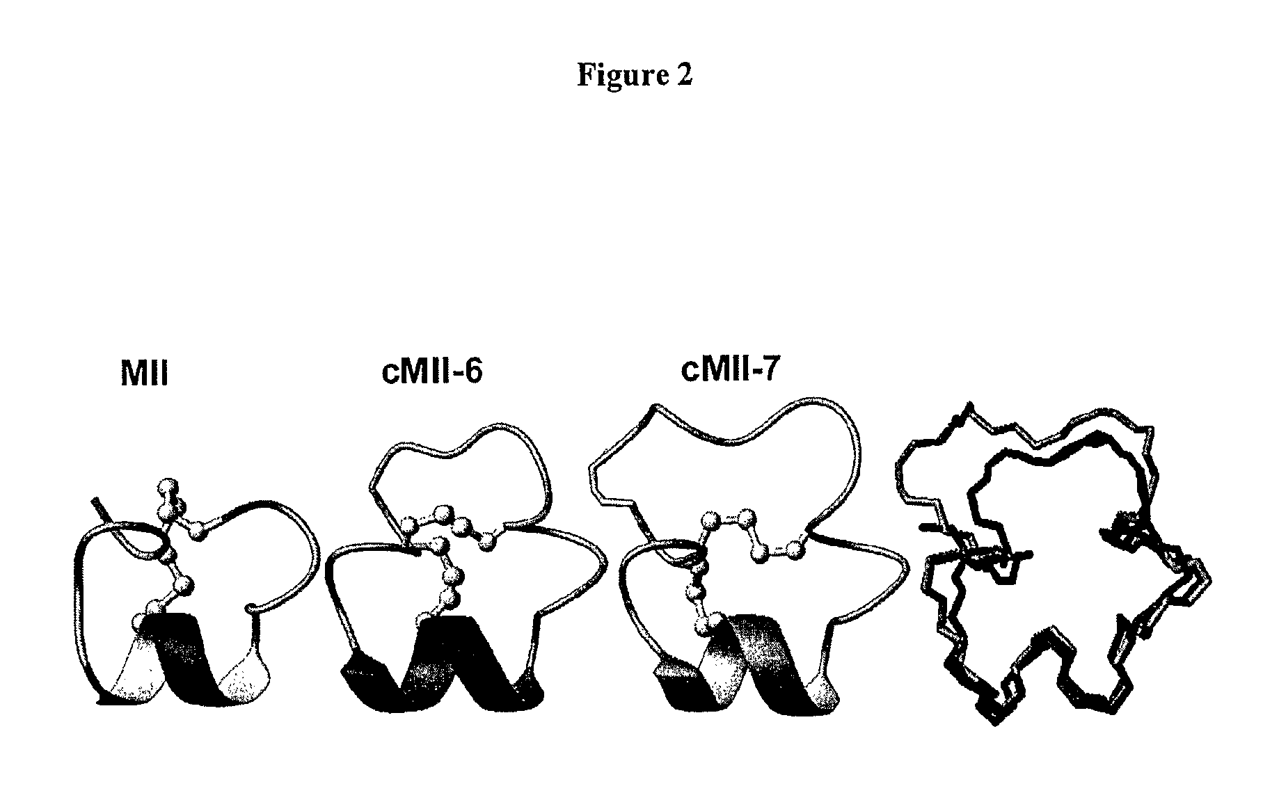 Cyclised alpha-conotoxin peptides