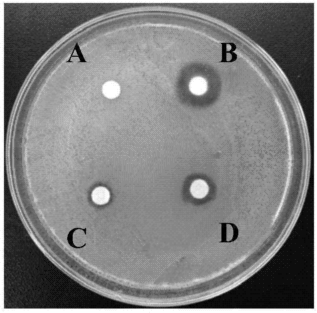 Thickening suspension composition and its application