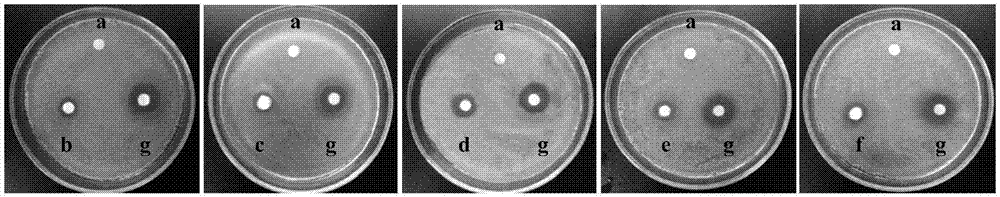 Thickening suspension composition and its application