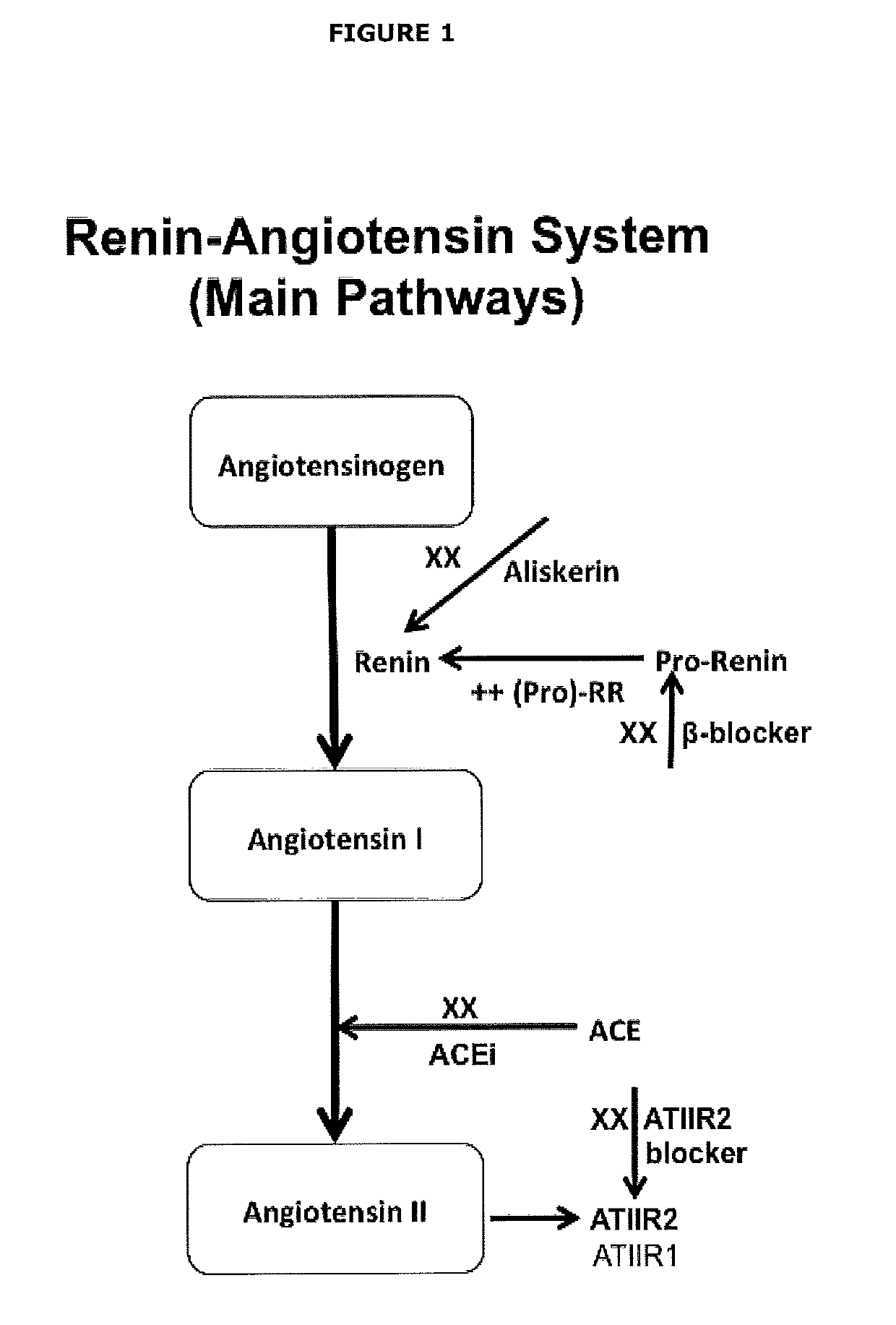 Cancer diagnosis and therapy