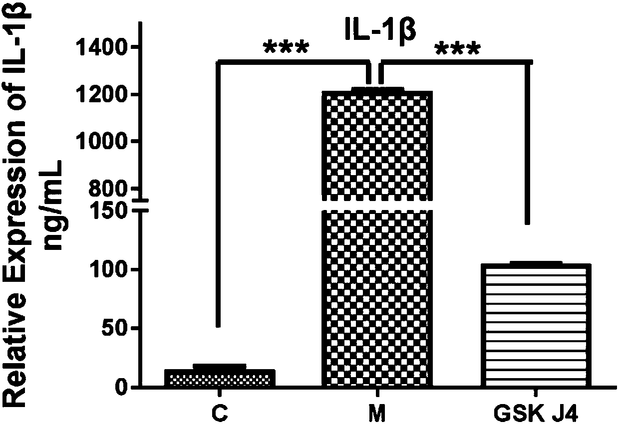 Application of JMJD3 inhibitor GSK-J4.HCL in preparing anti-colitis drugs