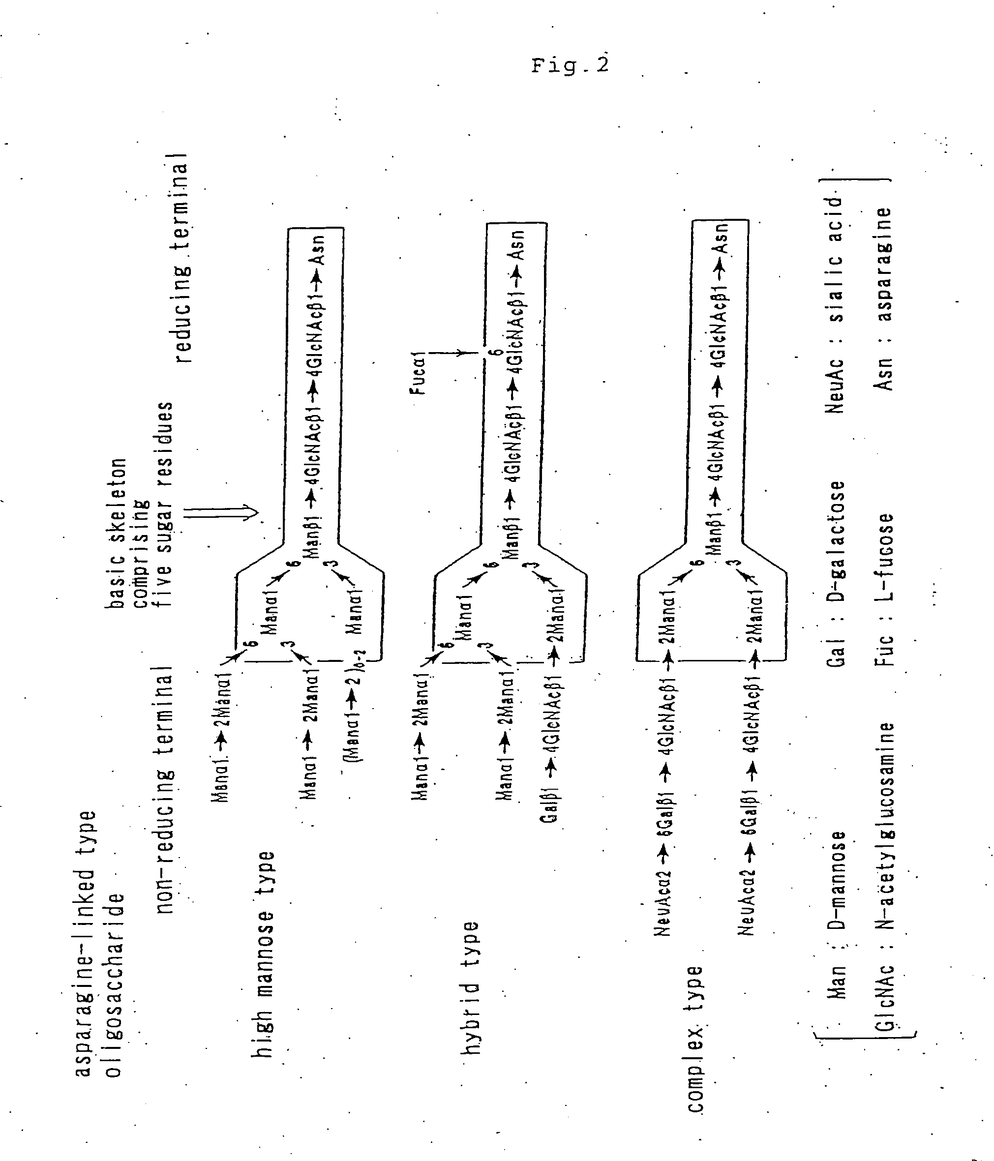 Aminated complex-type sugar chain derivatives and process for the production thereof