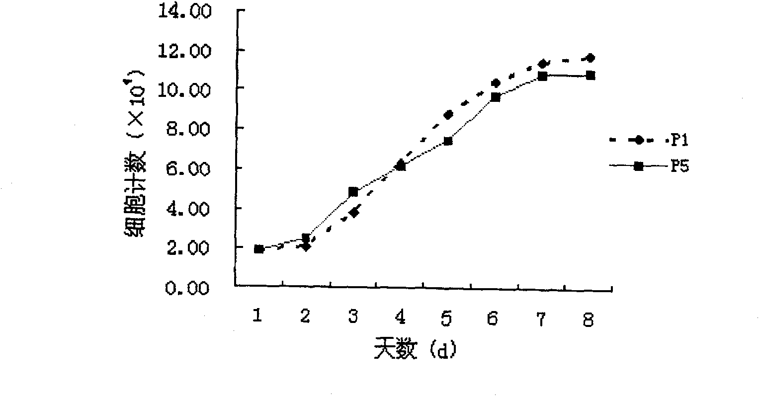 Method for sorting human marrow mesenchymal stemcell by monoclonal antibody ZUF10 immunomagnetic bead