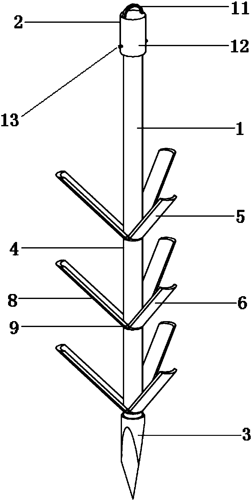 Round-rod-like branch stretching instrument with cambered wings for trimming of Camellia oleifera trees