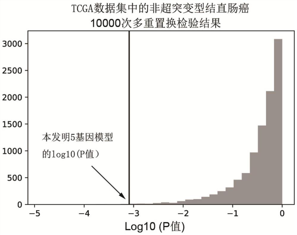 A panel of genes for molecular typing of non-hypermutated colorectal cancer and its application