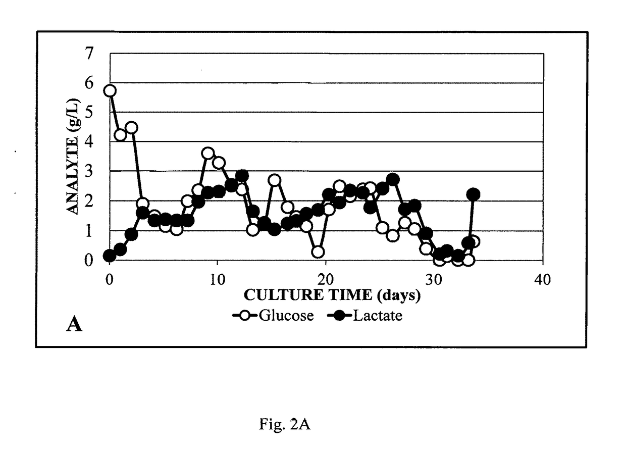 System for rapid continuous manufacturing of monoclonal antibodies