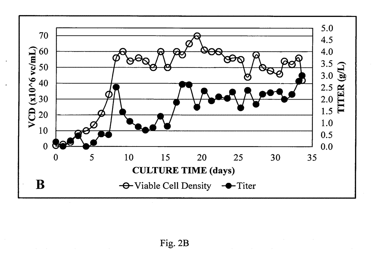 System for rapid continuous manufacturing of monoclonal antibodies