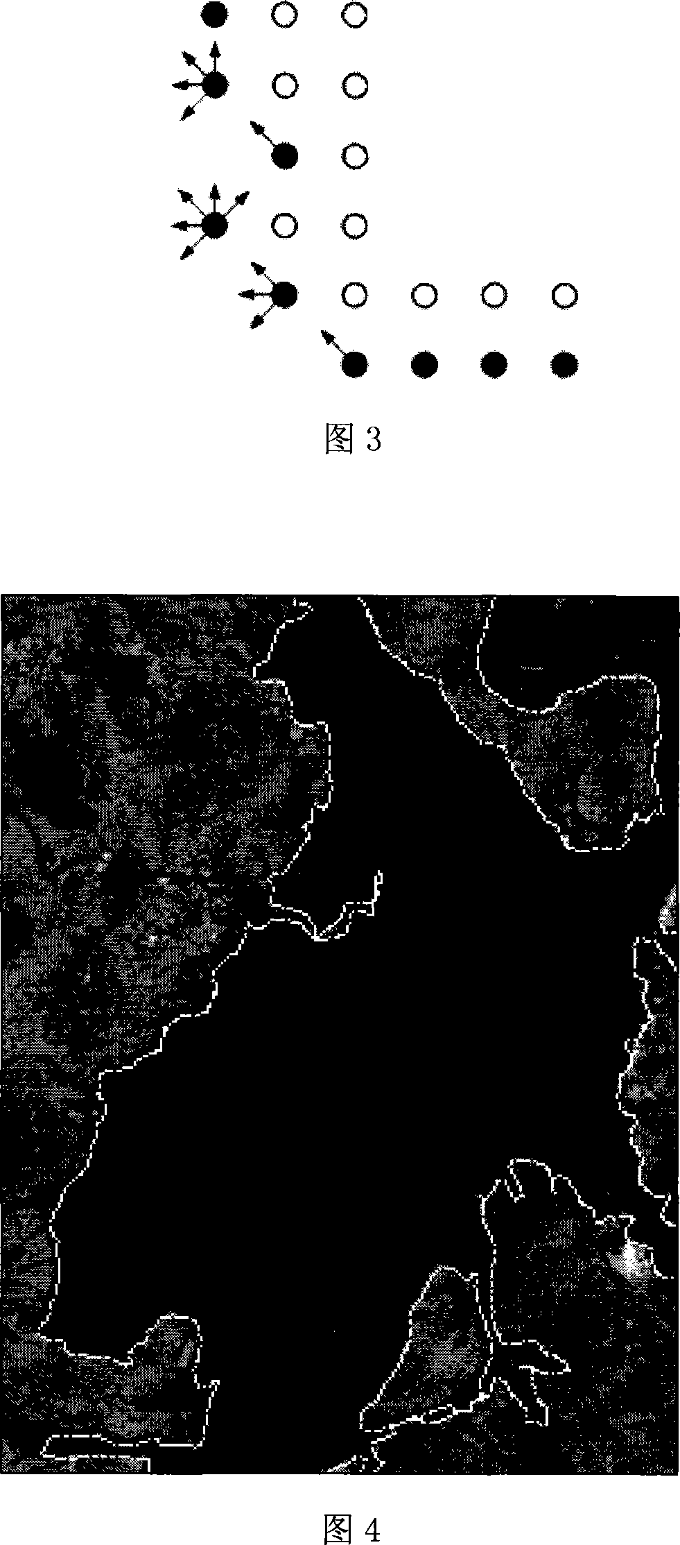 Method for detecting lakeshore and extracting lake profile from SAR image