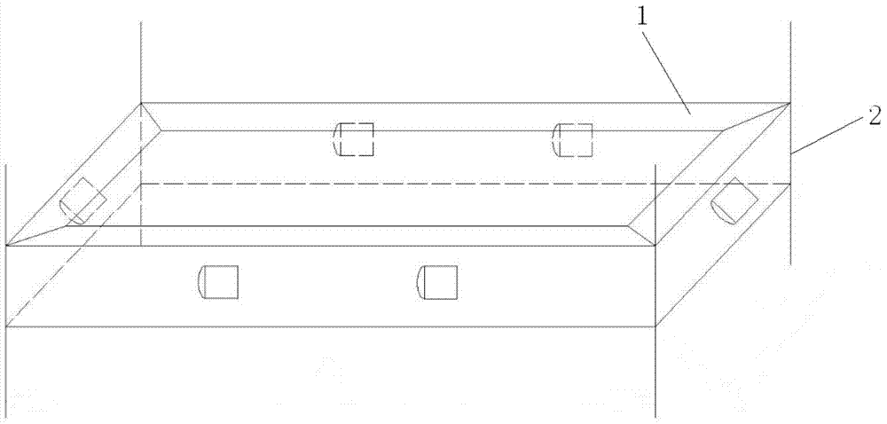 A method for cultivating wide-bodied golden leeches in live water cages