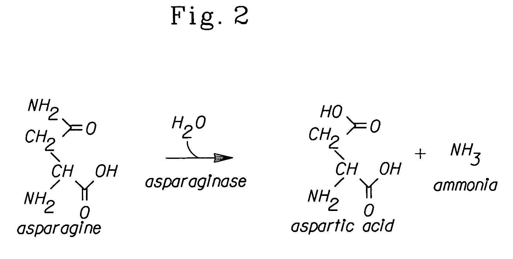 Methods for reducing asparagine in a dough food component using water activity