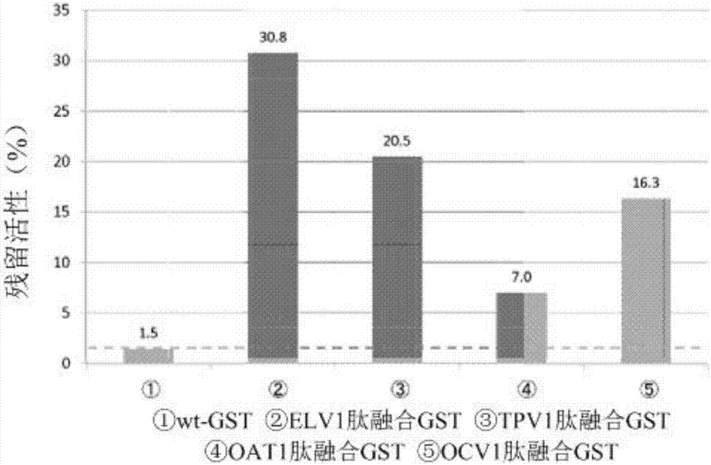 Peptides having affinity for polydimethylsiloxane, and uses thereof