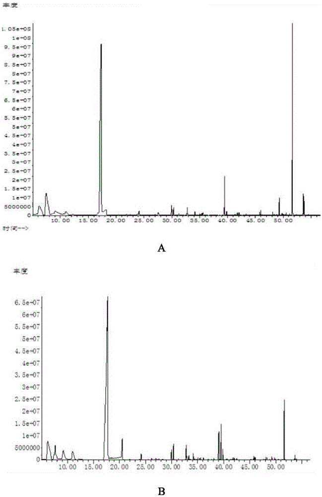 Method for producing green plum impregnated wine