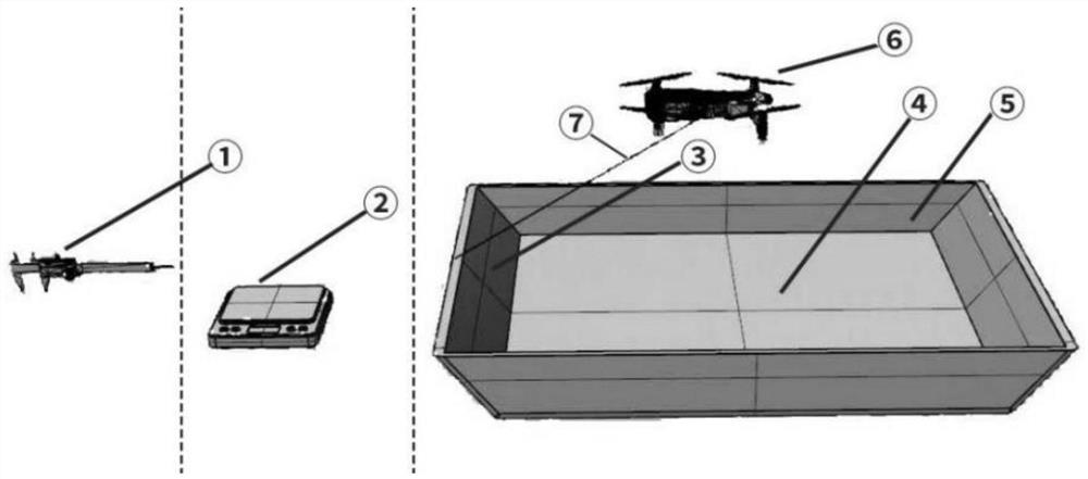 Eriocheir sinensis quality estimation method based on unmanned aerial vehicle image processing