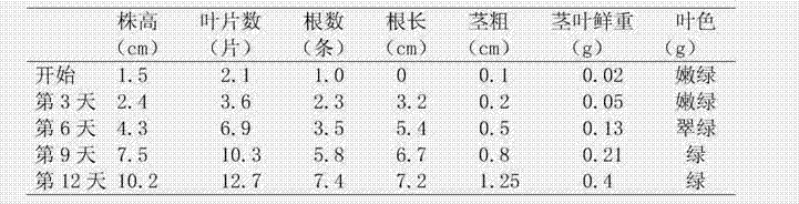 Method for purification and rejuvenation of potato virus-free tissue culture seedlings