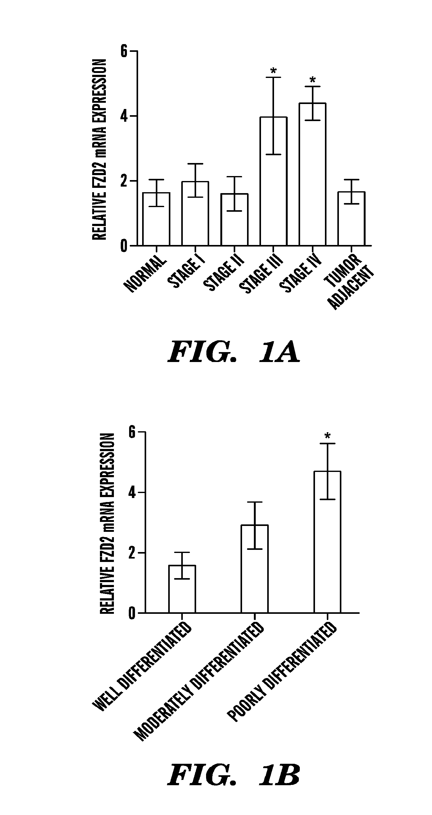 Frizzled 2 as a target for therapeutic antibodies in the treatment of cancer