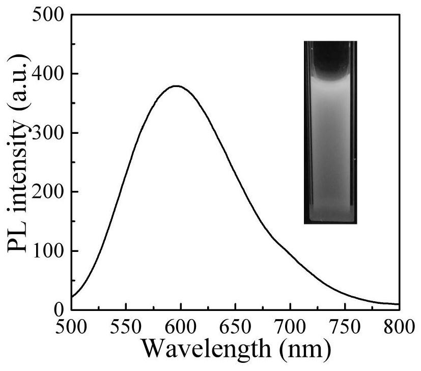 A kind of preparation method of the AIE polymer nanoparticle of amino group and polypeptide modification