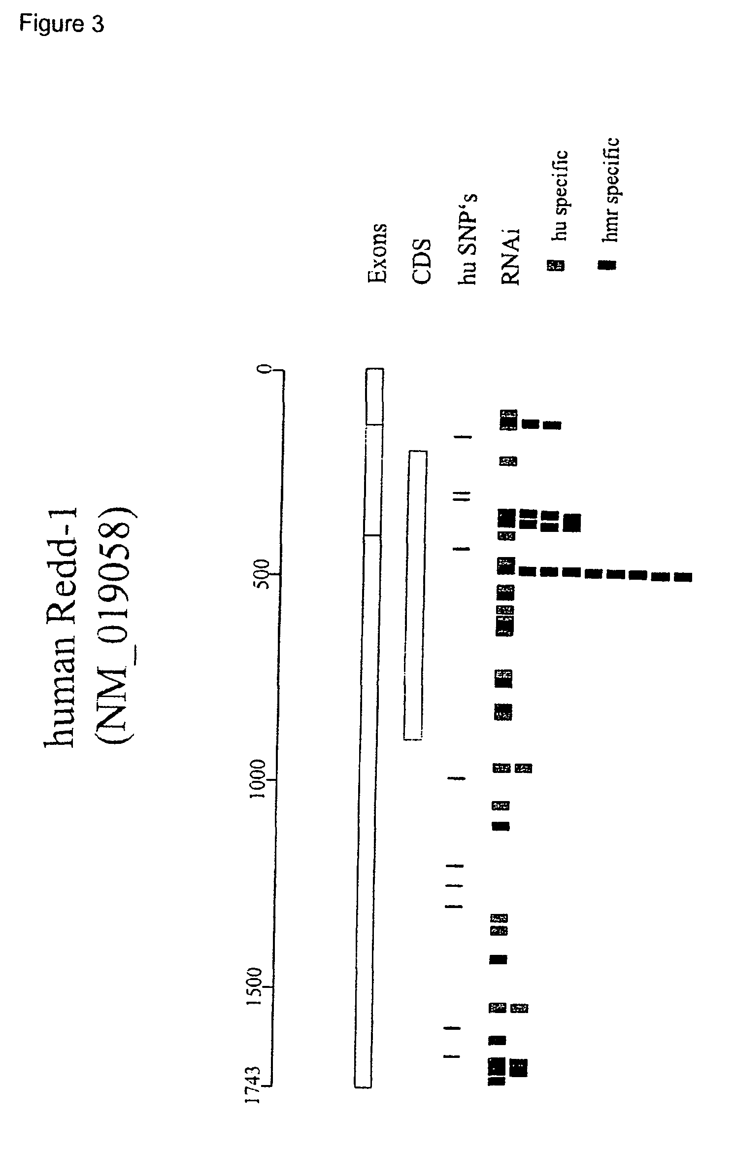 Therapeutic uses of inhibitors of RTP801