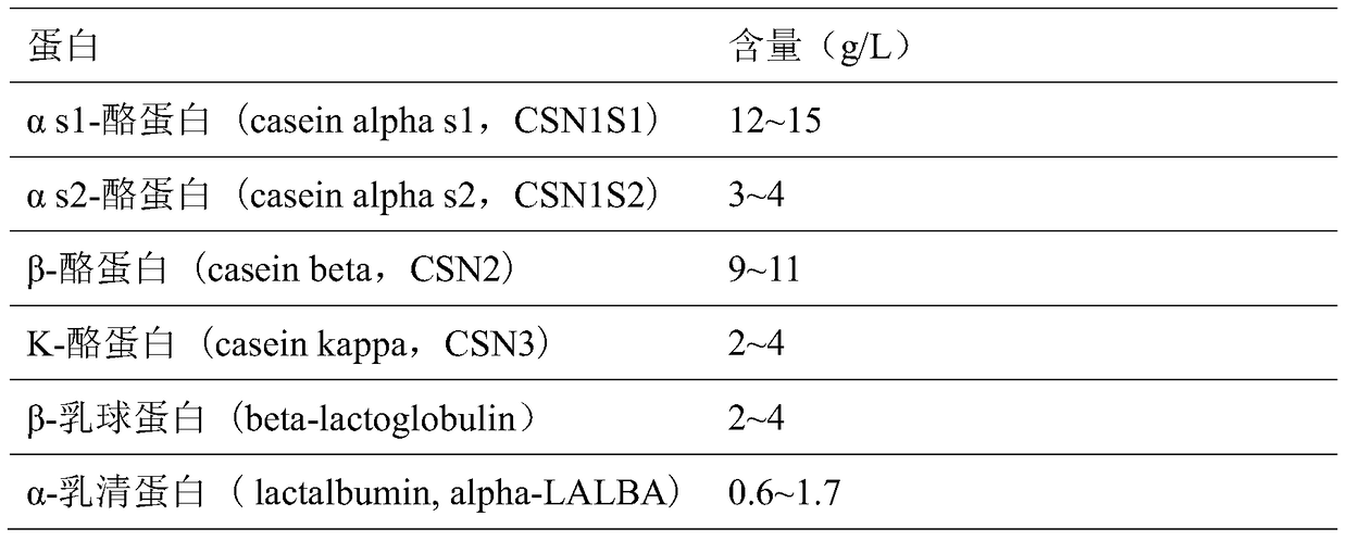 A codon-optimized β-galactosidase gene and its application