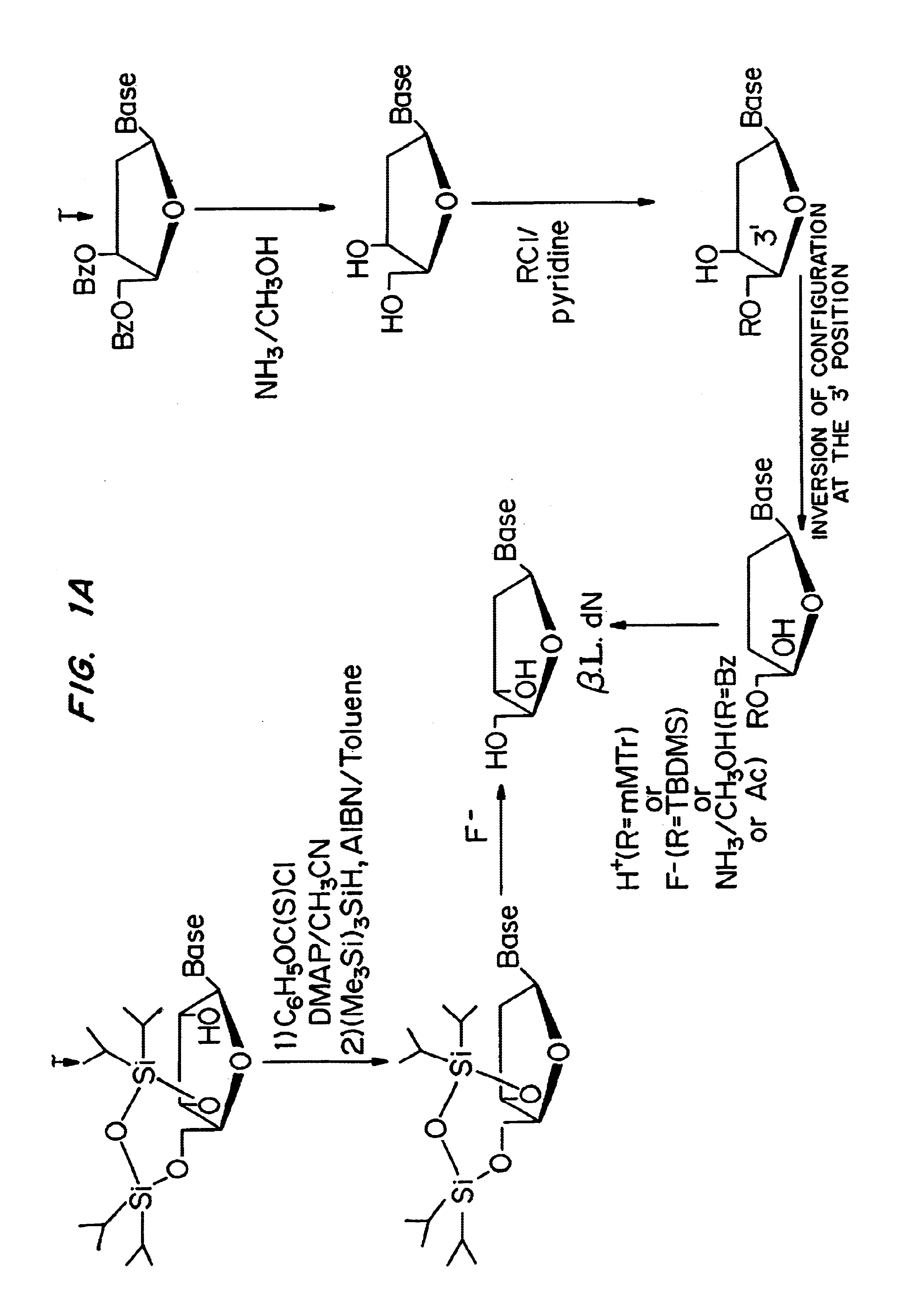 beta-L-2'-deoxy-nucleosides for the treatment of hepatitis B