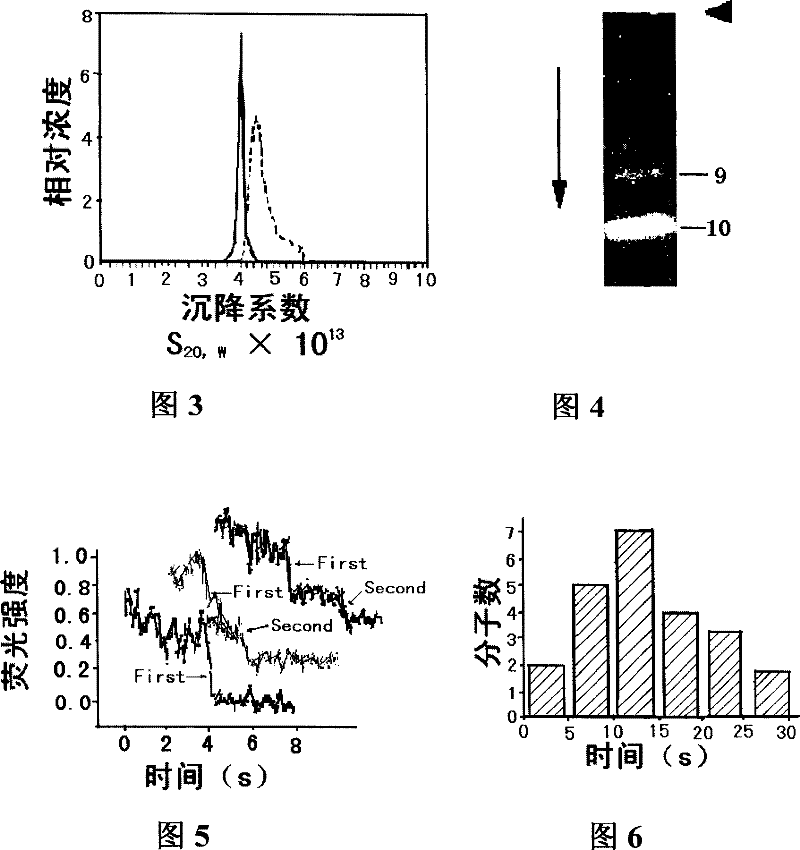 Unimolecular tracing method in low viscosity solution