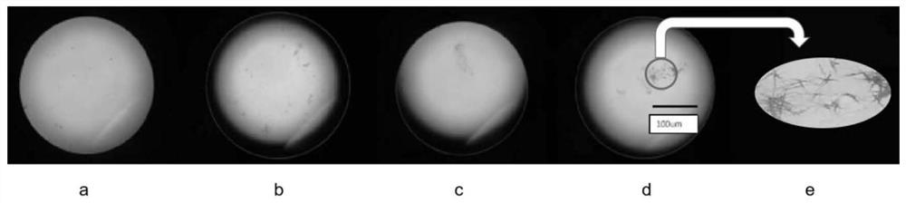 Biphenyl nitrile derivative with AIE and ESIPT characteristics as well as synthesis method and application of biphenyl nitrile derivative