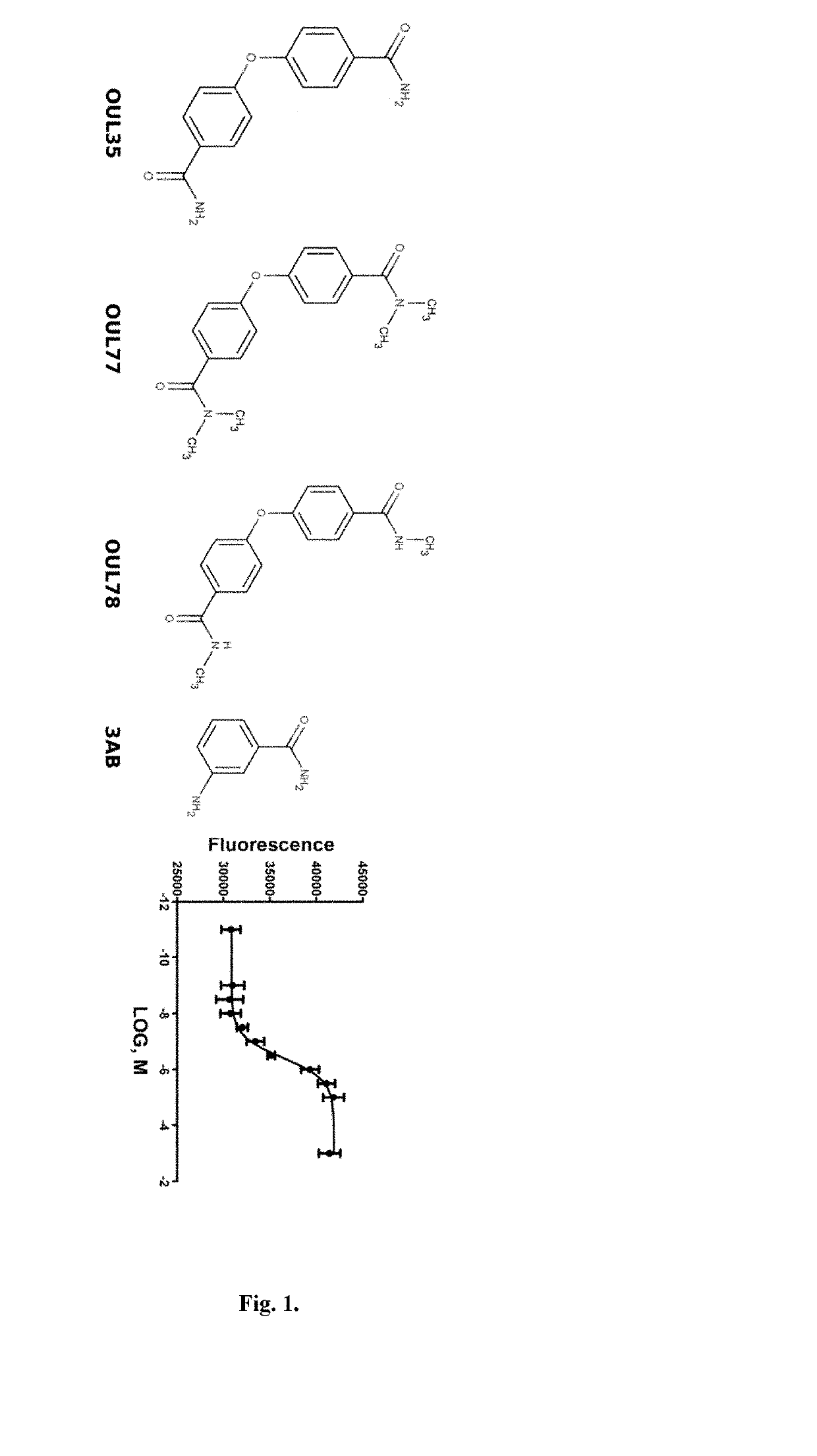 Compounds for use in the treatment of cancer
