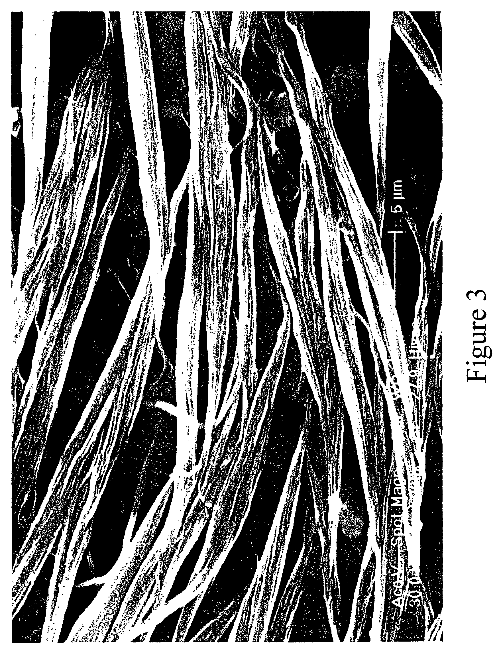Single-wall carbon nanotube alewives, process for making, and compositions thereof