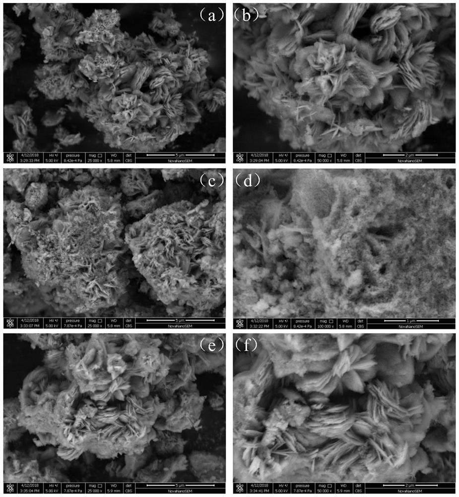 A kind of porous cobalt sulfide nanoflower and its preparation method and application