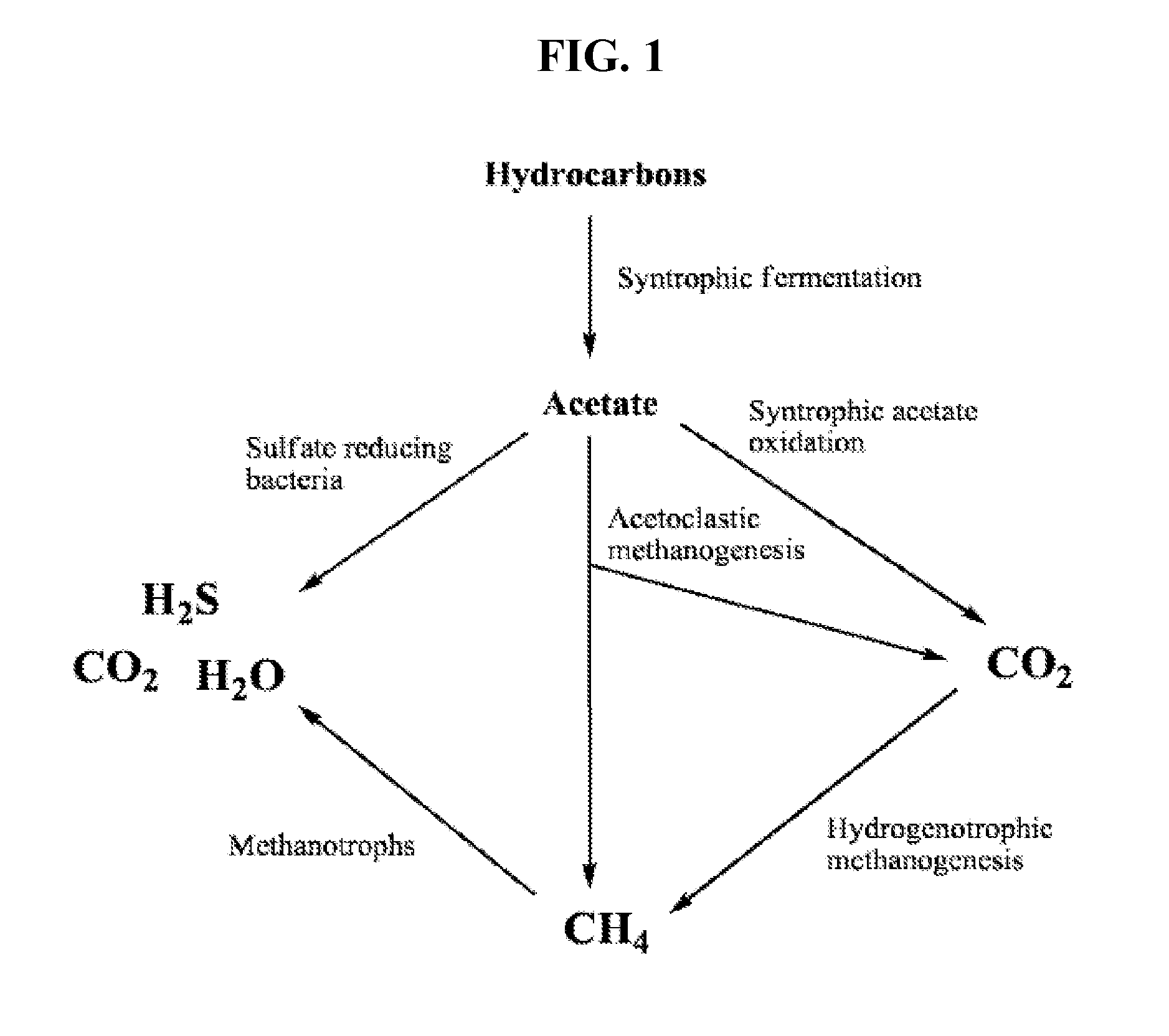 Emulsions to enhance microbial activity in a reservoir