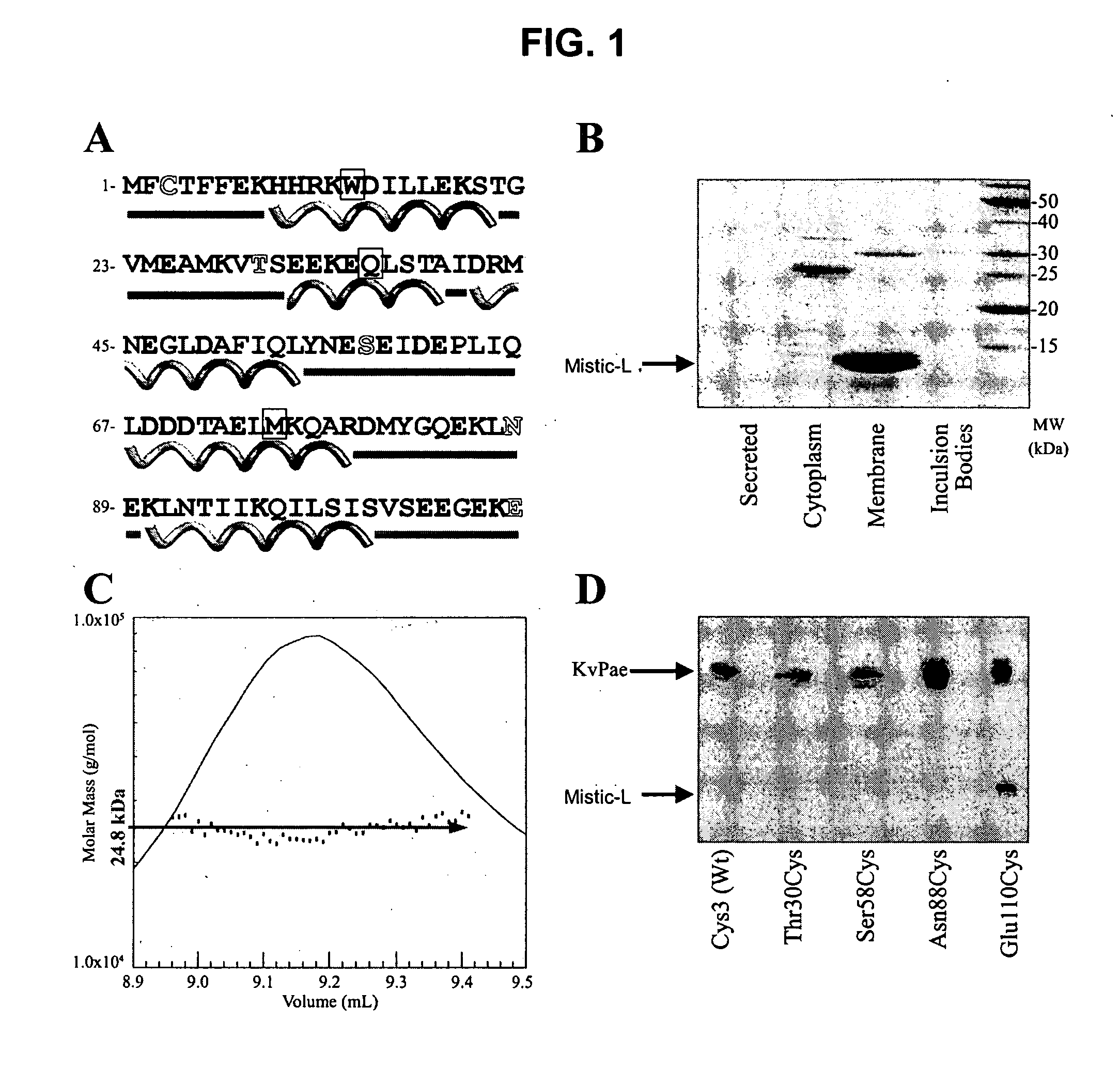 Compositions and methods for producing recombinant proteins