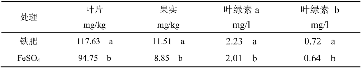 Iron fertilizer for oranges and use method thereof