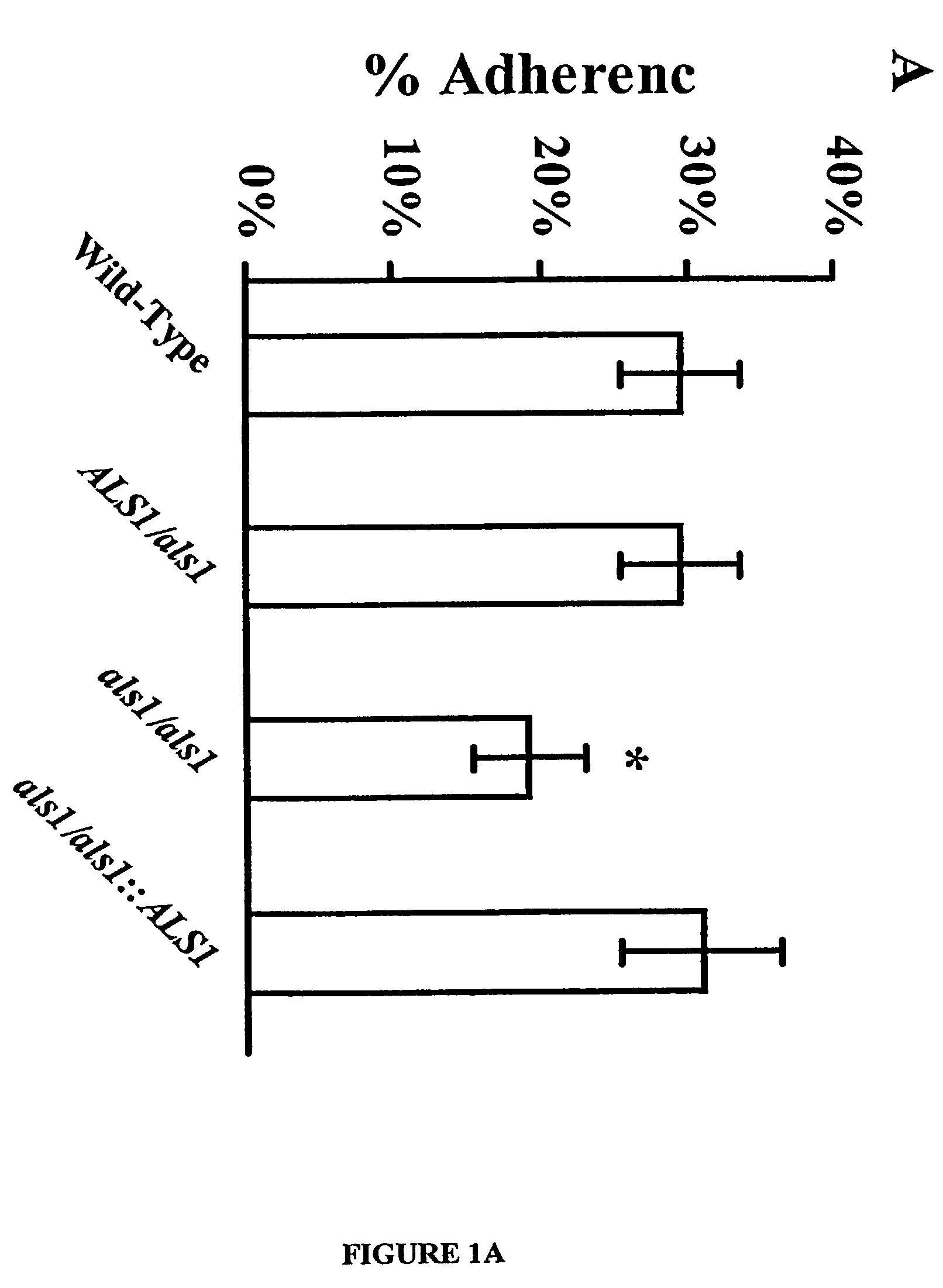 Pharmaceutical compositions and methods to vaccinate against candidiasis