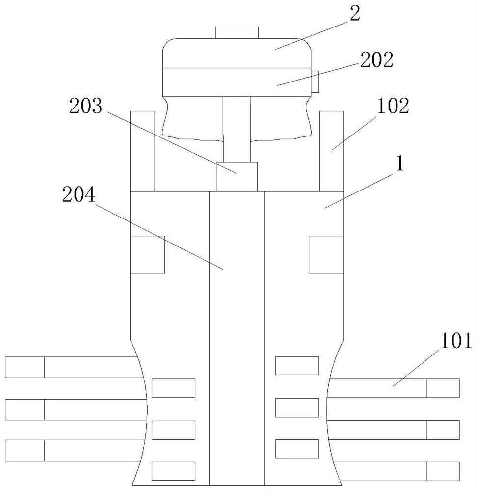 Orthopedic spine correction device