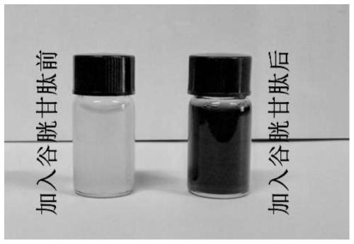 Application of Rare Earth Fluorescent Nanomaterials Modified by Molybdenum-Based Heteropolyacids in Glutathione Detection