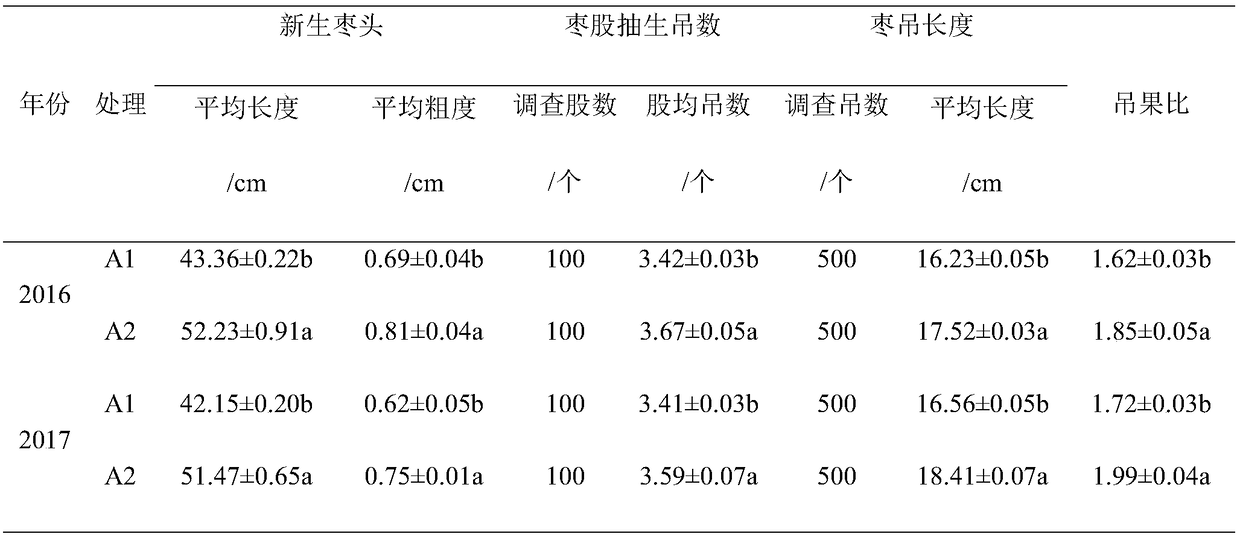 Rapid shaping method applicable to jujube trees after branch removing in Tai-hang mountain gneiss area