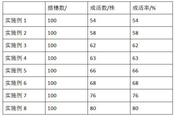 Lithocarpus litseifolius hardwood cutting method