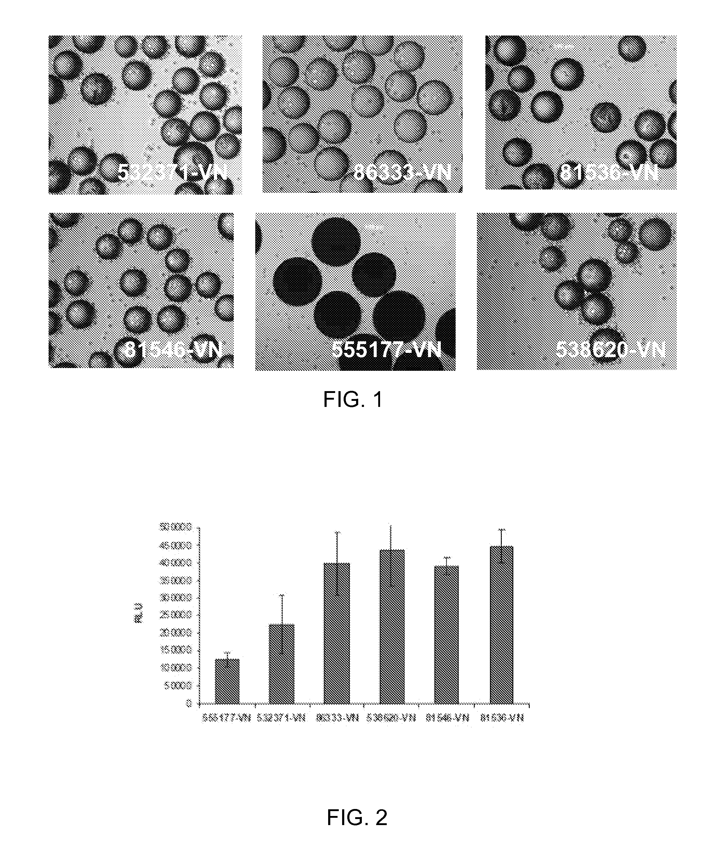 High Surface Area Substrate for Cell Culture