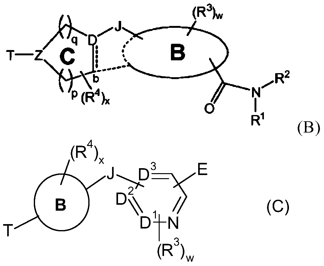 Bicyclic nitrogen-containing aromatic heterocyclic amides