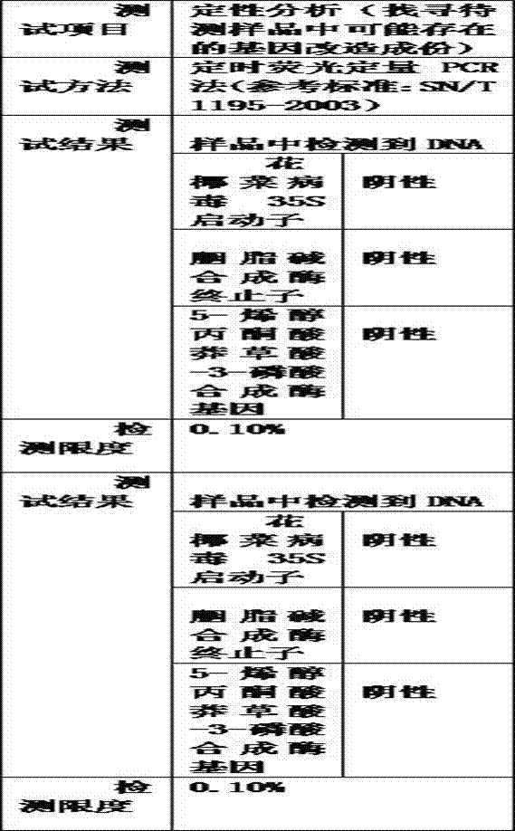 Method of selecting and breeding new soybean variety by using space technology