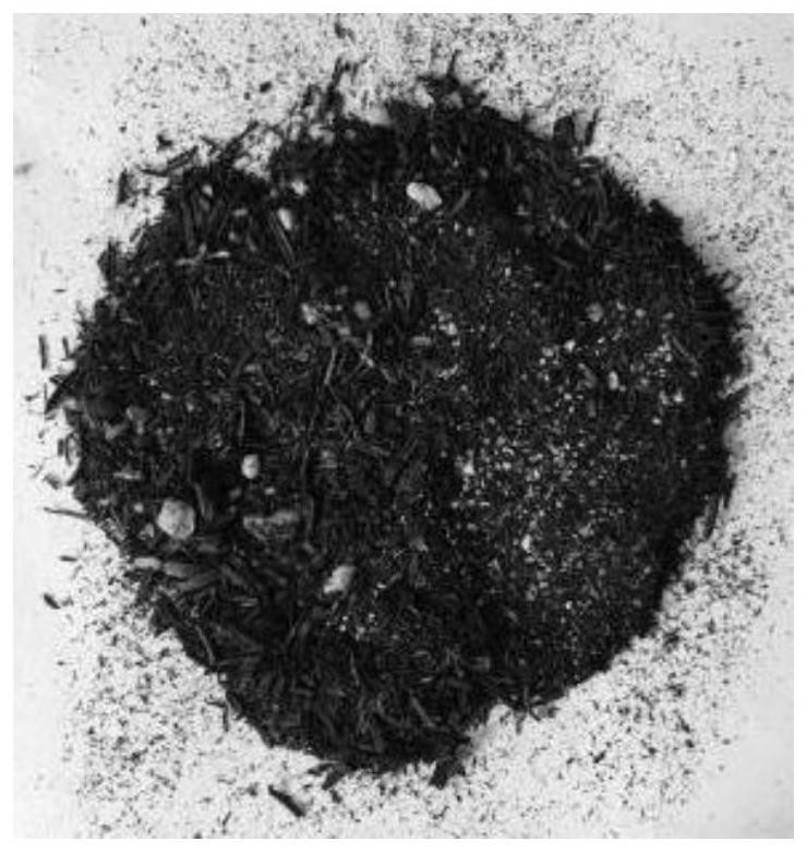 Rhizophagus intraradices-biochar complex microbial inoculant and preparation method and application thereof