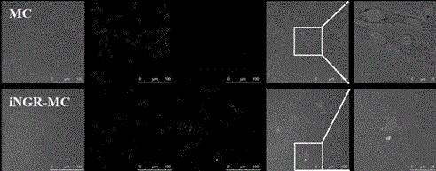 Polylactic acid-polyethylene glycol-tumor penetrating peptide compound, preparation and application thereof