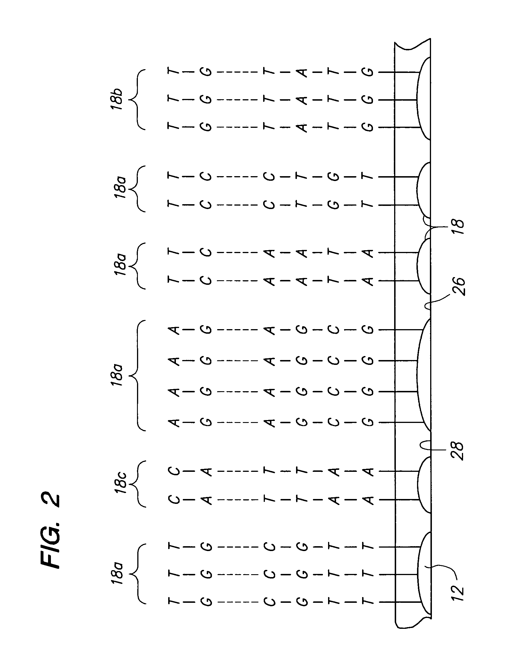 Methods and apparatus for analyzing arrays