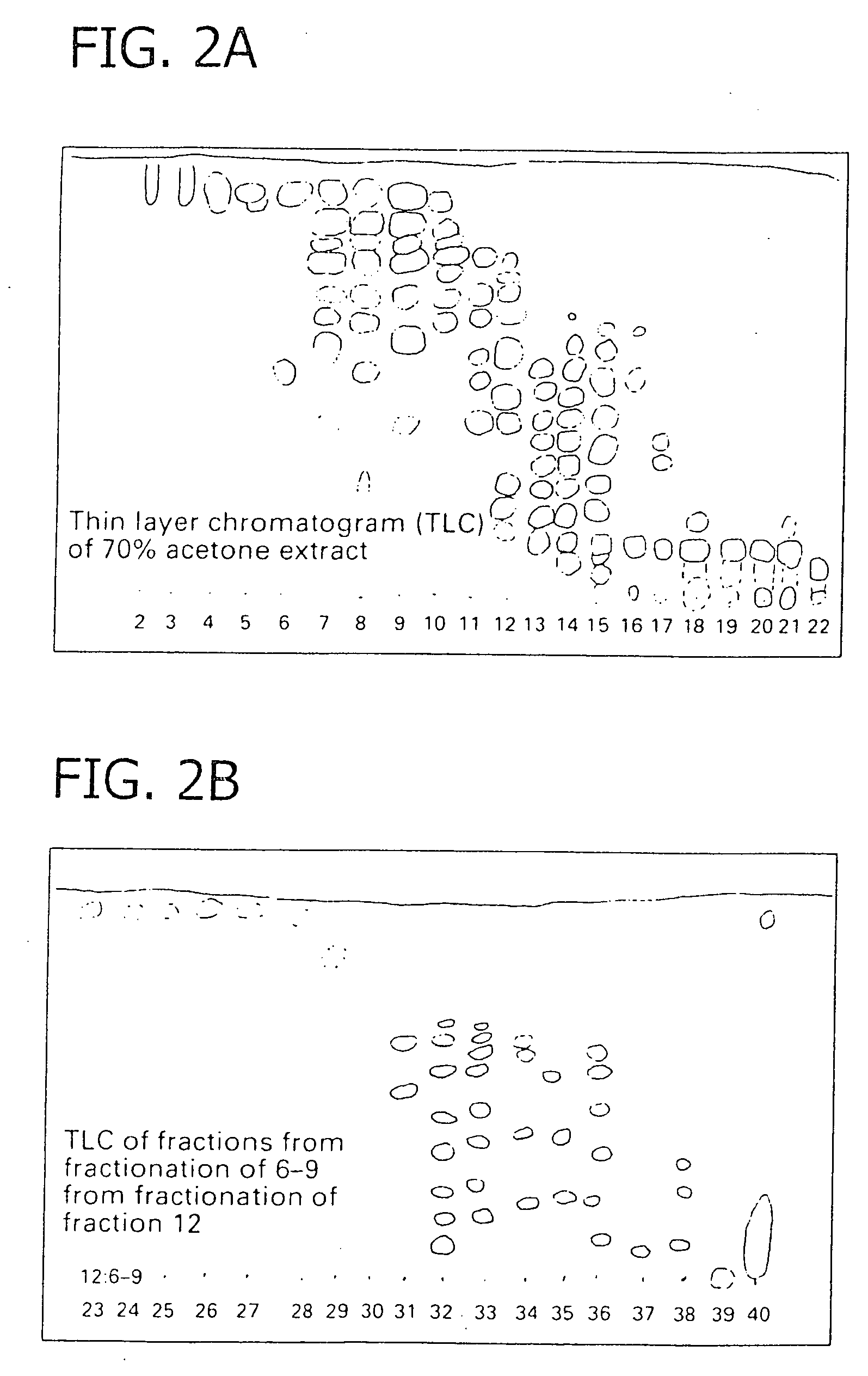 Methods for isolation of proanthocyanidins from flavonoid-producing cell culture