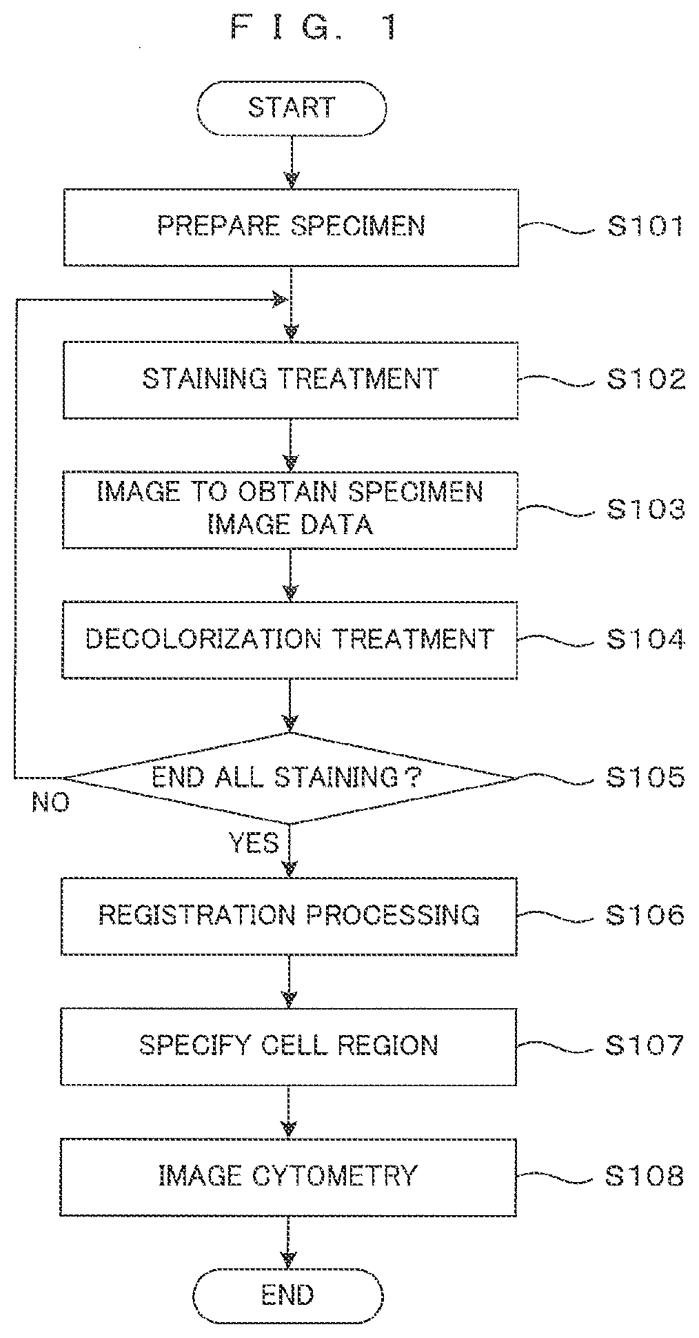 Specimen analysis method and image processing method