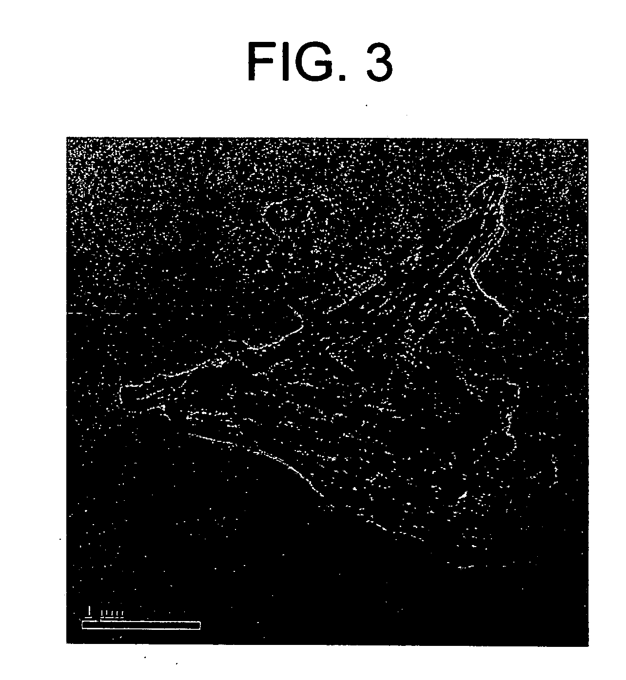 Selective adsorbent material and its use