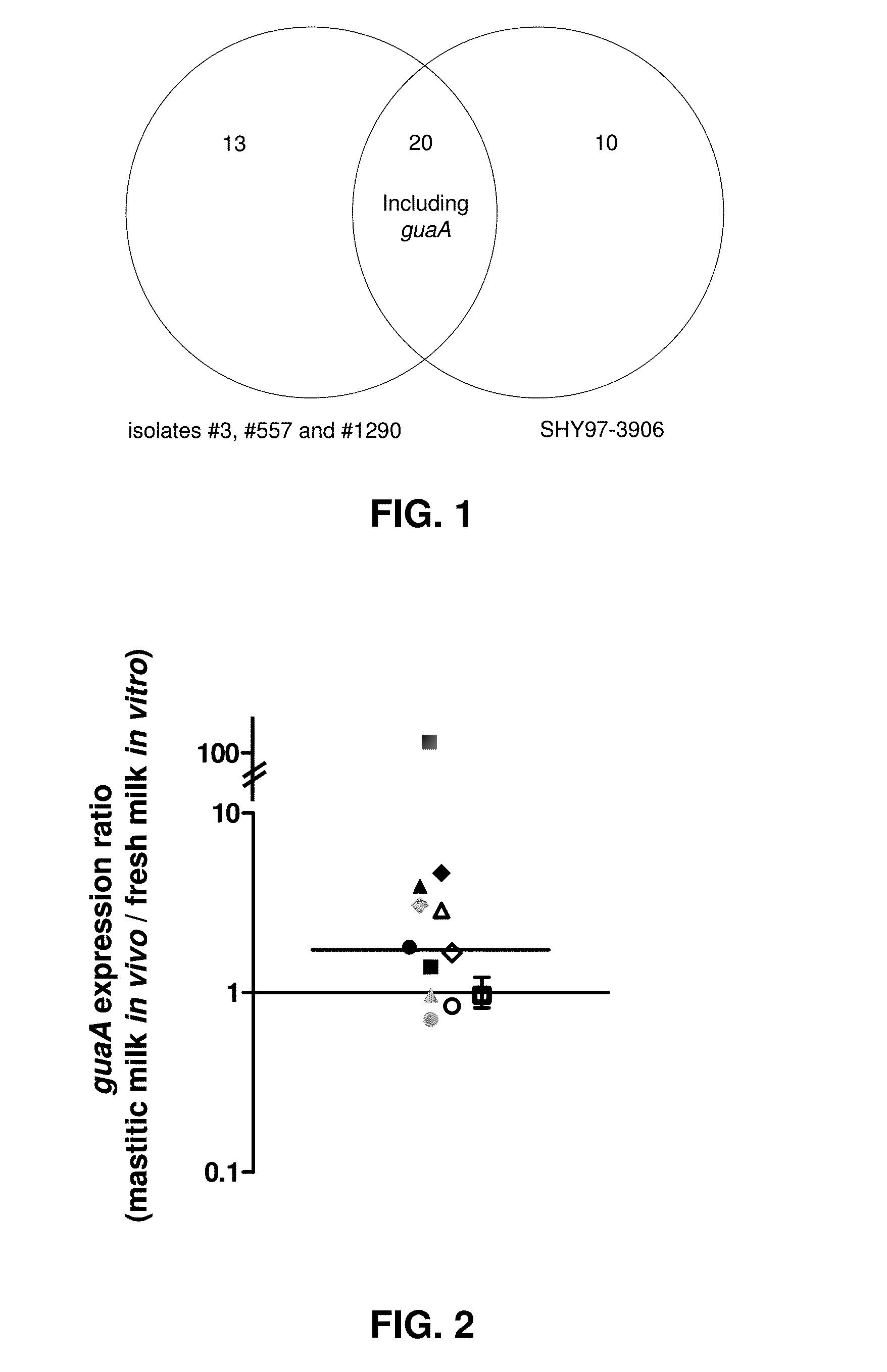 Guanine riboswitch binding compounds and their use as antibiotics