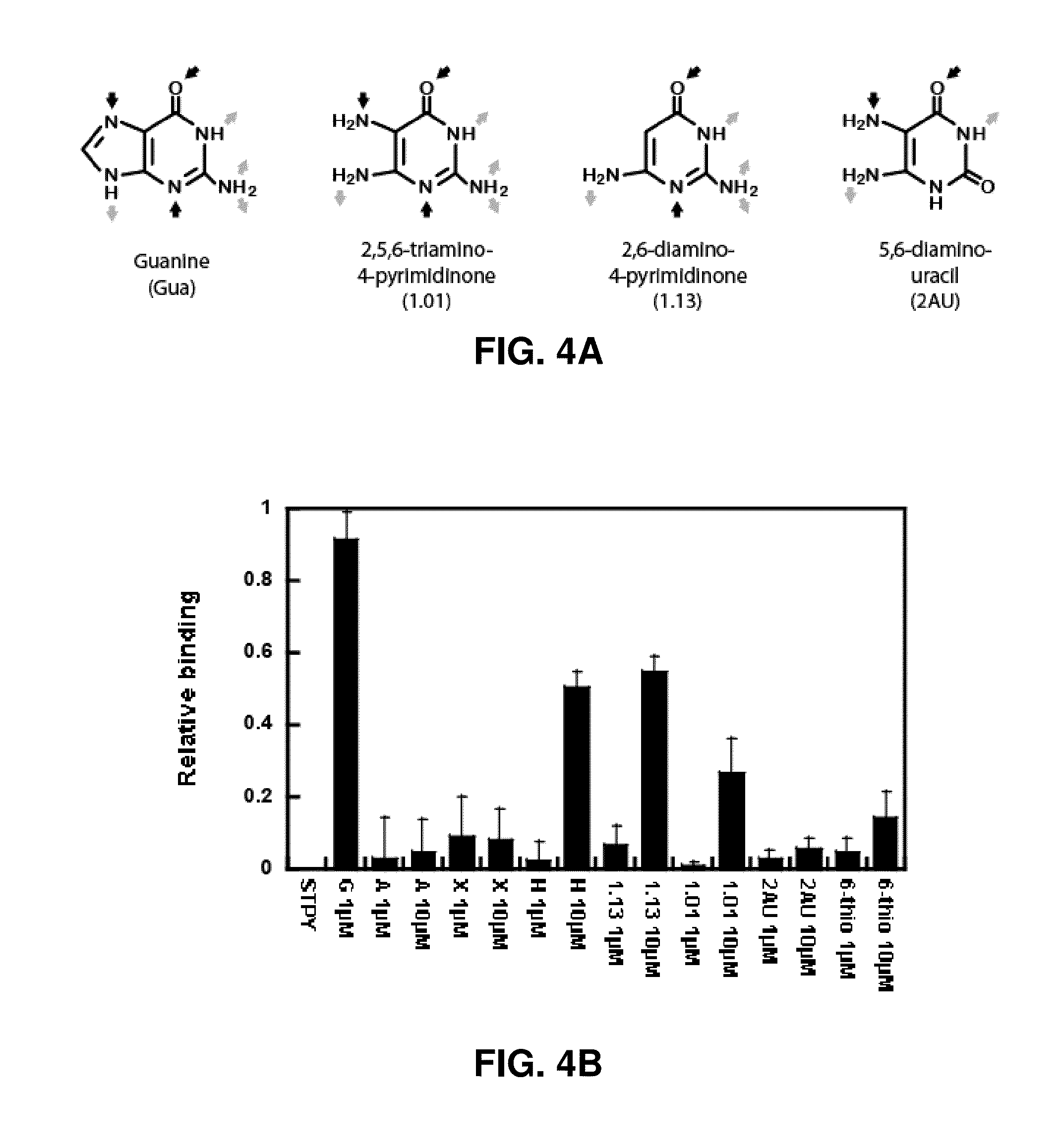 Guanine riboswitch binding compounds and their use as antibiotics