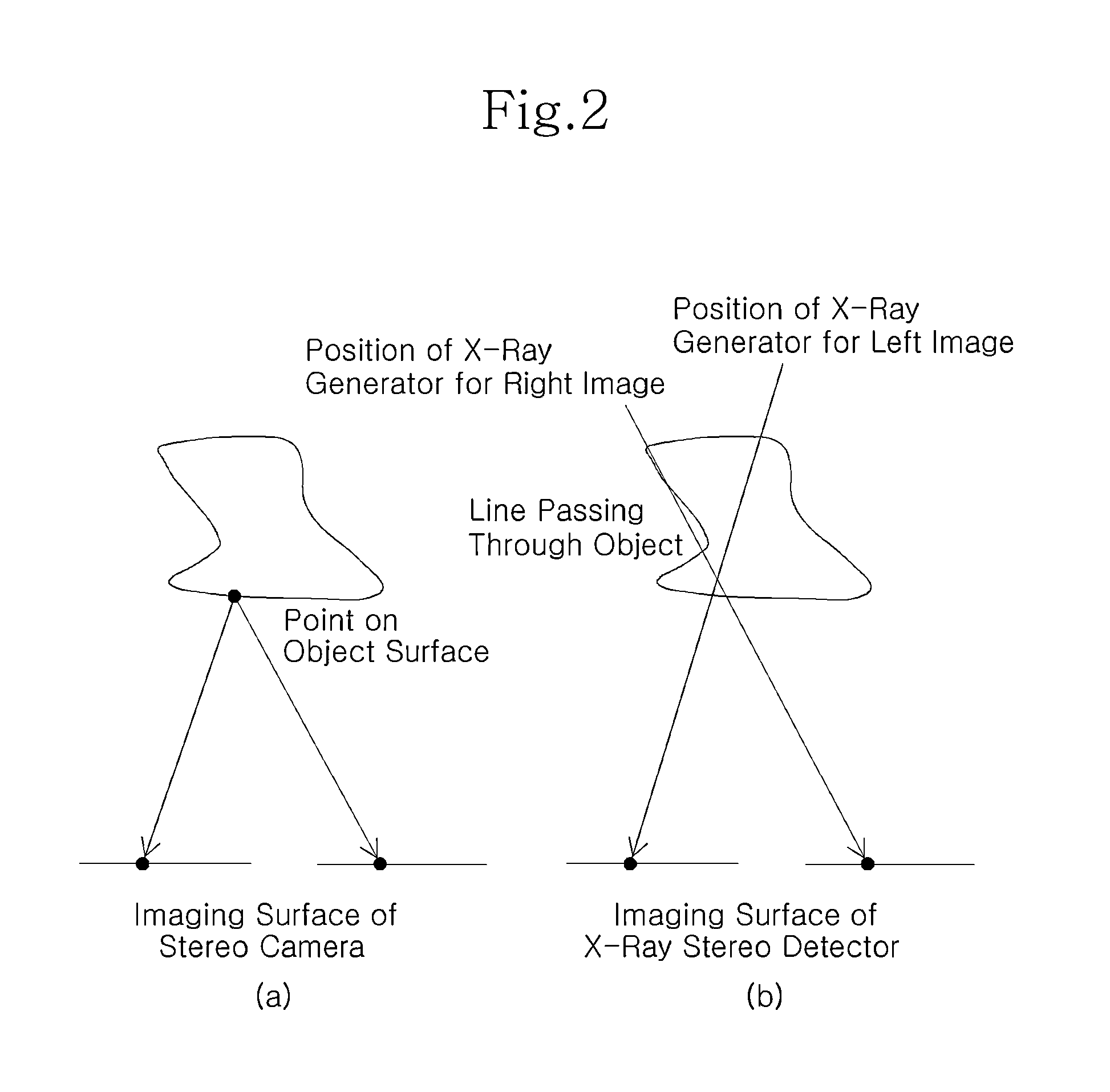 Stereo X-ray inspection apparatus and method for forming three-dimensional image through volume reconstruction of image acquired from the same